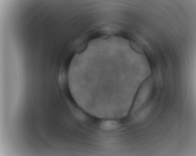 X0000113120137200910091144