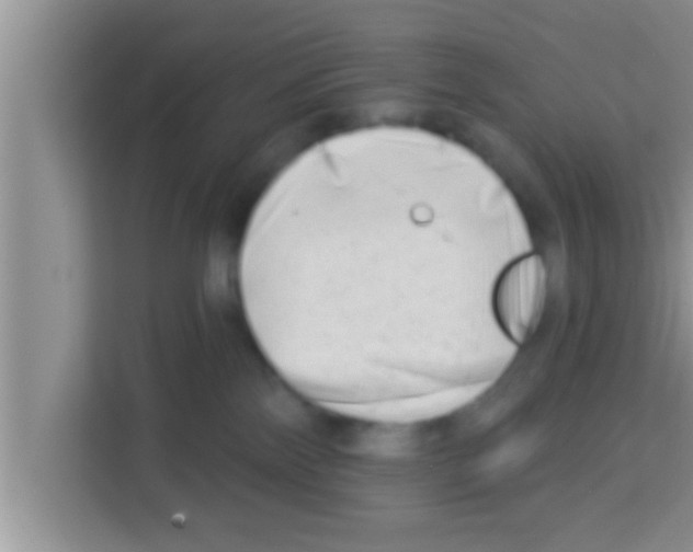 X0000113120138200910091144