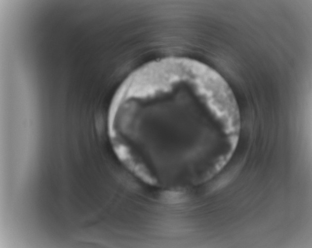 X0000113120139200910091144