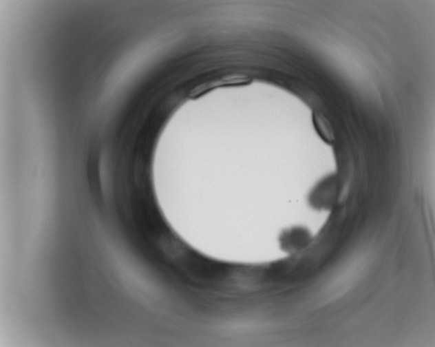 X0000113120140200910091144