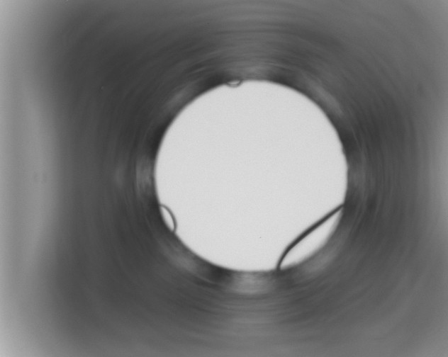 X0000113120141200910091144