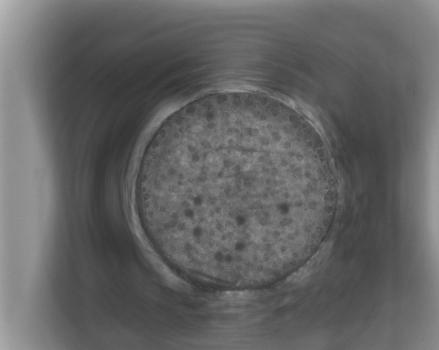 X0000113120145200910091144