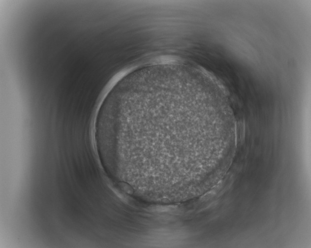 X0000113120147200910091144