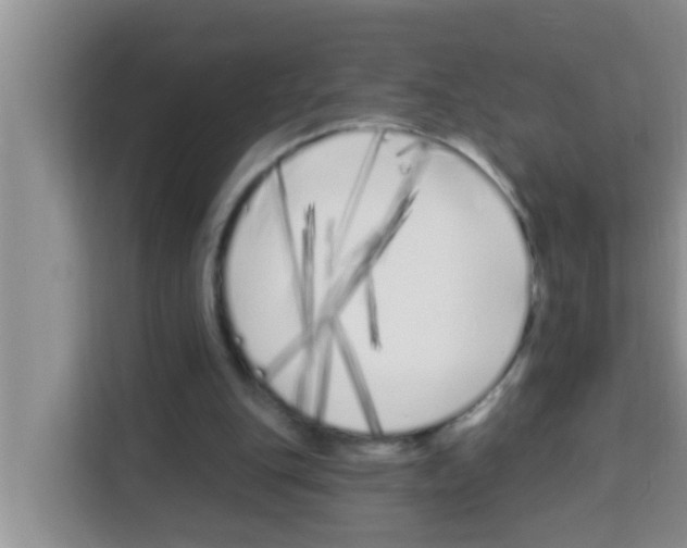 X0000113120151200910091144