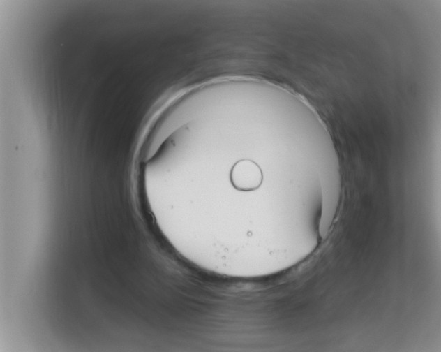 X0000113120152200910091144