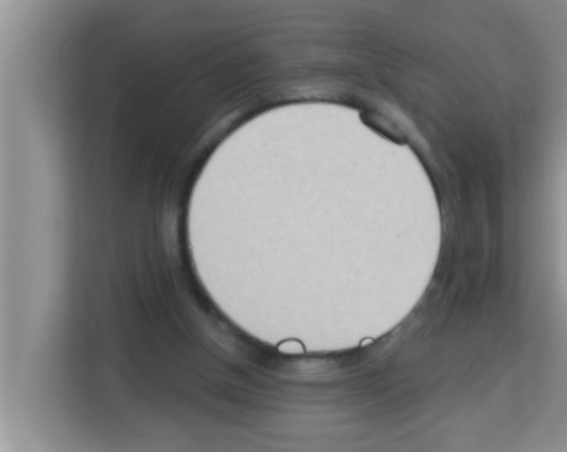 X0000113120154200910091144