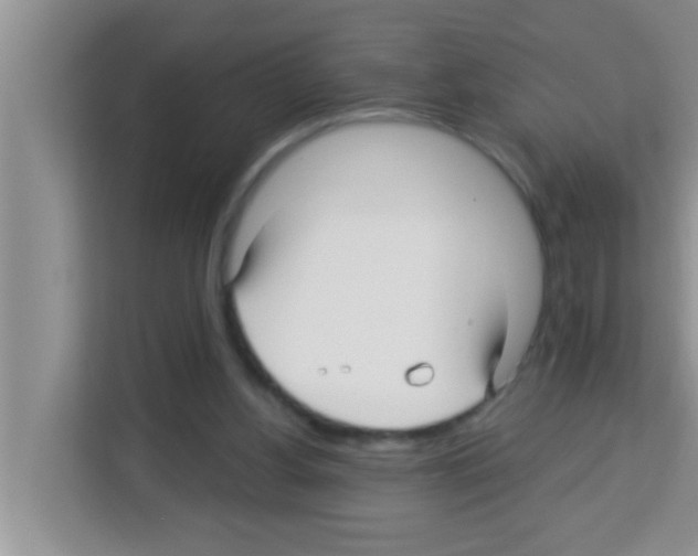 X0000113120156200910091144