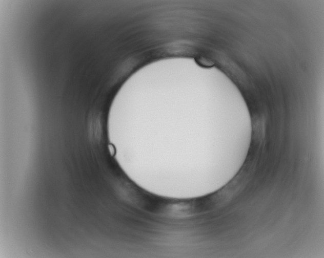 X0000113120158200910091144