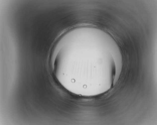 X0000113120160200910091144