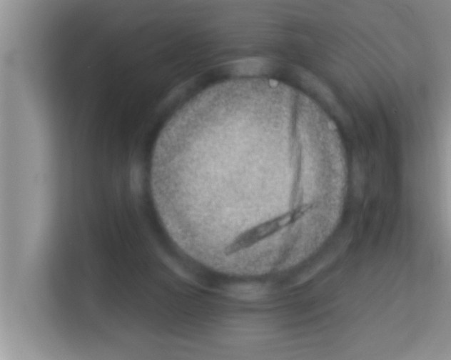X0000113120161200910091144