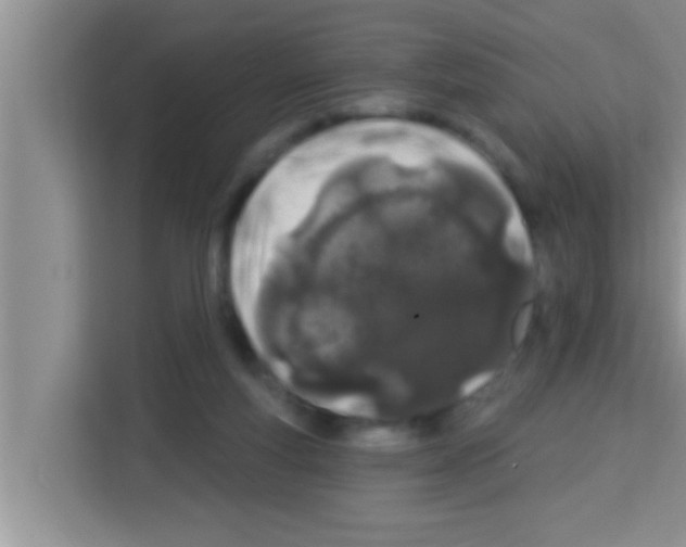 X0000113120163200910091144