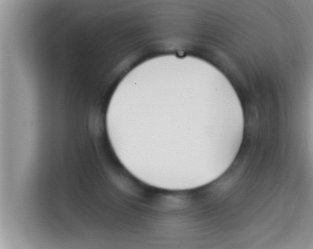 X0000113120164200910091144