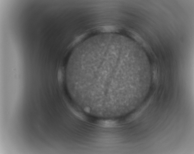 X0000113120165200910091144