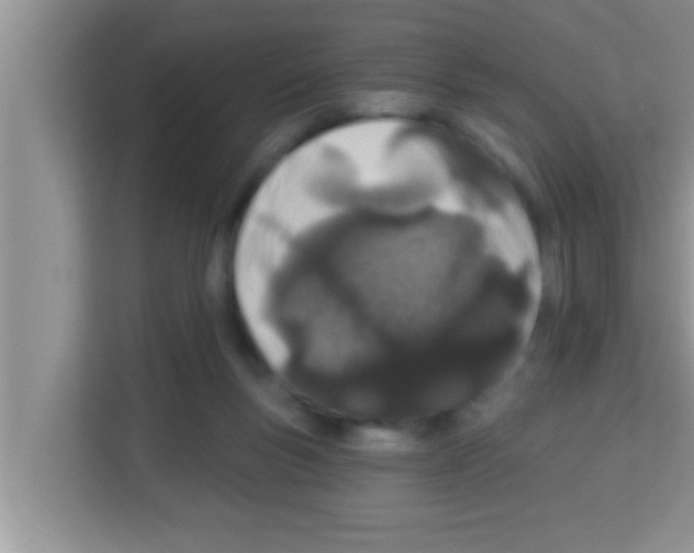X0000113120167200910091144