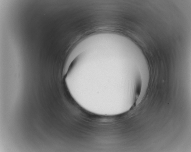 X0000113120168200910091144