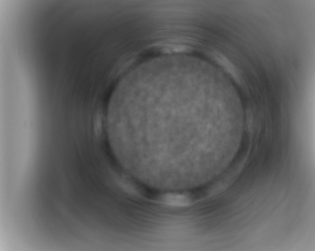 X0000113120169200910091144