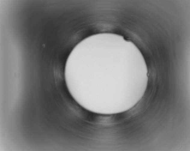 X0000113120170200910091144