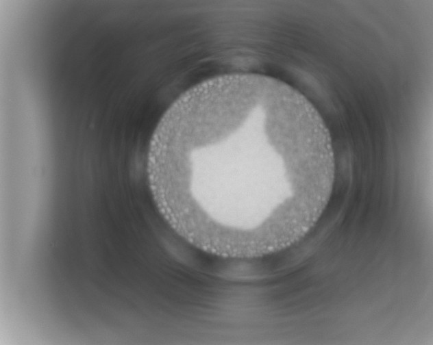 X0000113120177200910091144