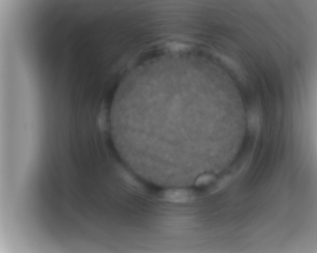 X0000113120181200910091144