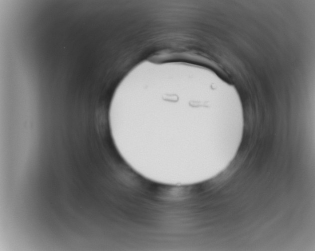 X0000113120184200910091144
