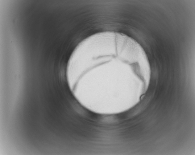 X0000113120185200910091144