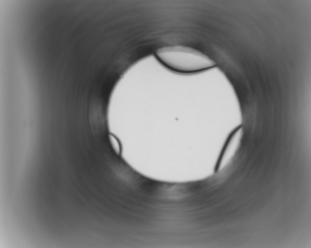 X0000113120186200910091144