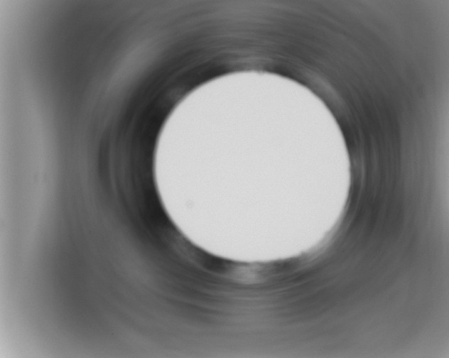 X0000113120190200910091144