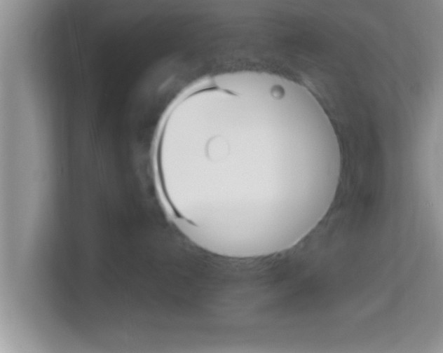 X0000113120192200910091144
