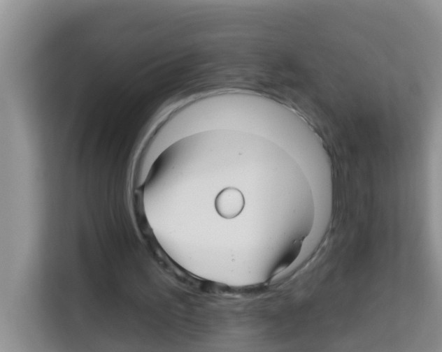 X0000113120195200910091144