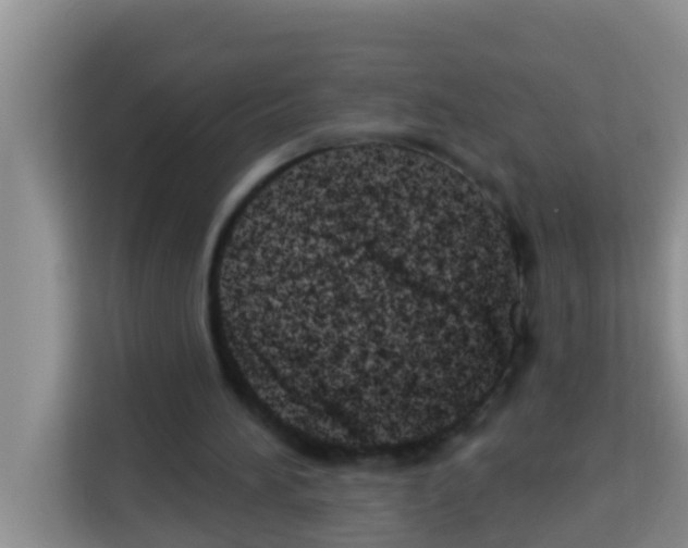 X0000113120196200910091144