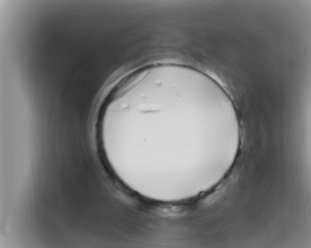 X0000113120199200910091143