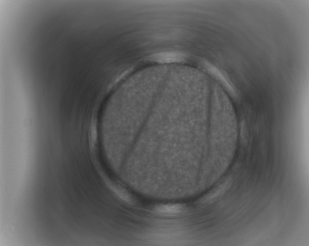 X0000113120202200910091143