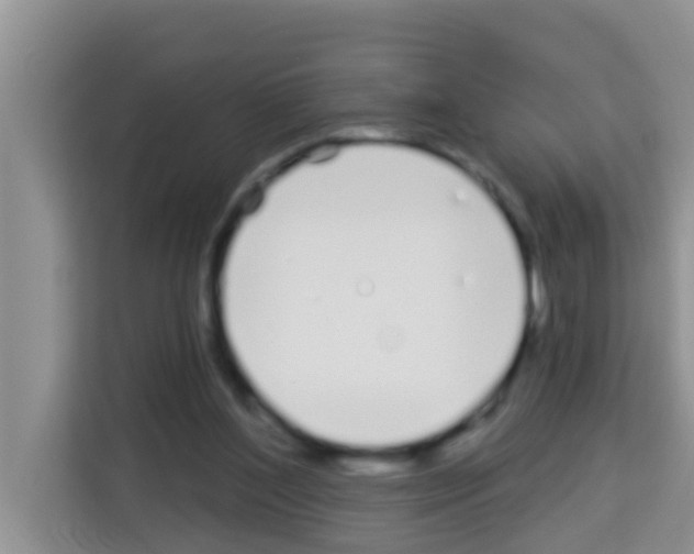 X0000113120204200910091143