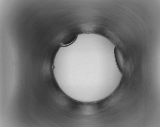 X0000113120209200910091143