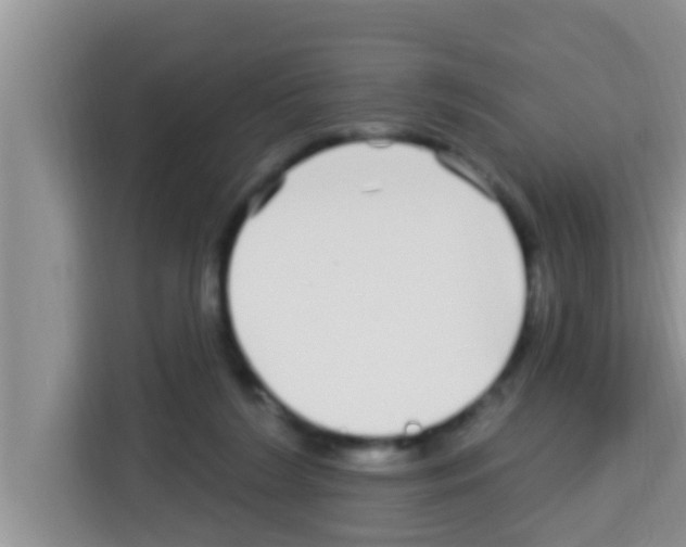 X0000113120212200910091143