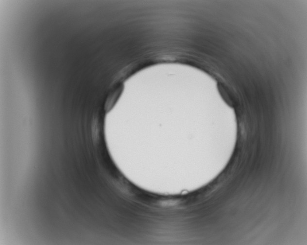 X0000113120216200910091143