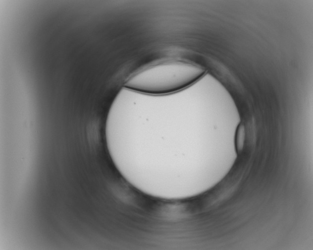 X0000113120217200910091143