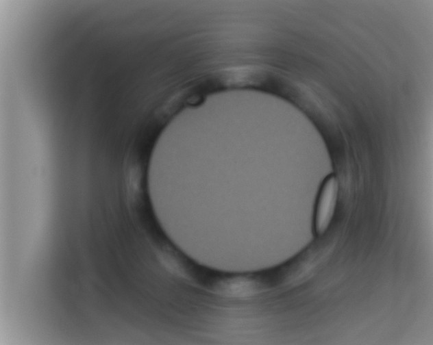 X0000113120219200910091143