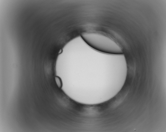 X0000113120221200910091143