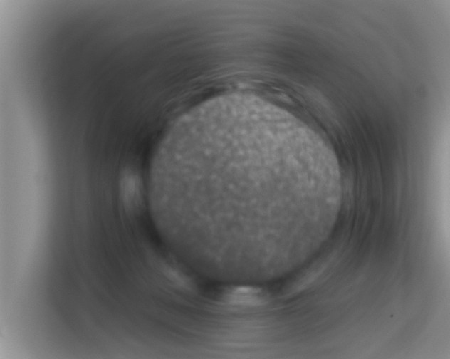 X0000113120222200910091143