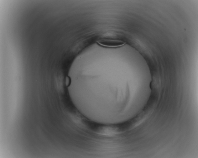 X0000113120223200910091143