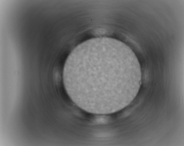 X0000113120226200910091143