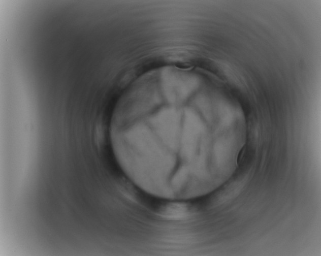 X0000113120227200910091143