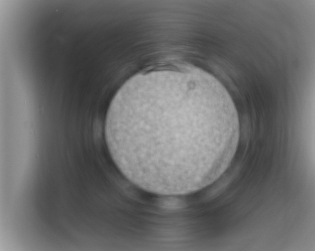 X0000113120230200910091143
