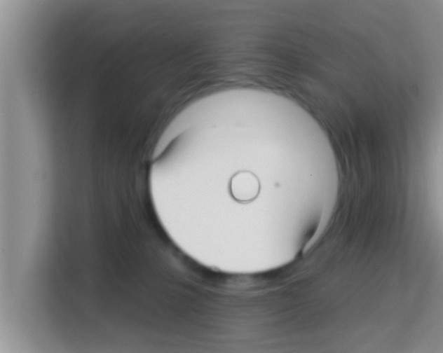 X0000113120231200910091143