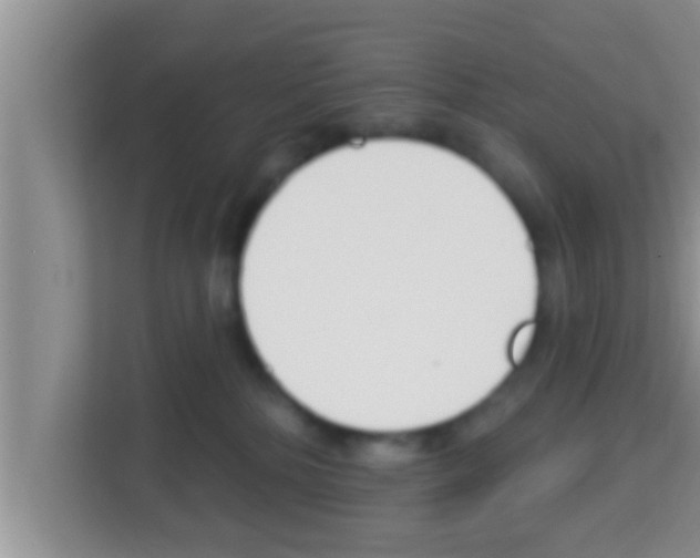 X0000113120232200910091143