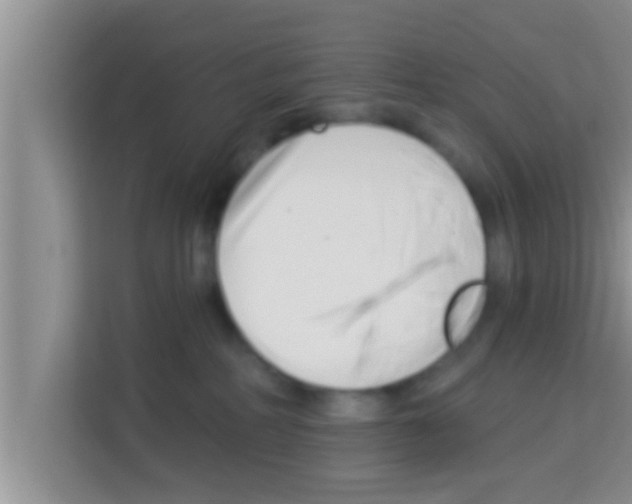 X0000113120234200910091143