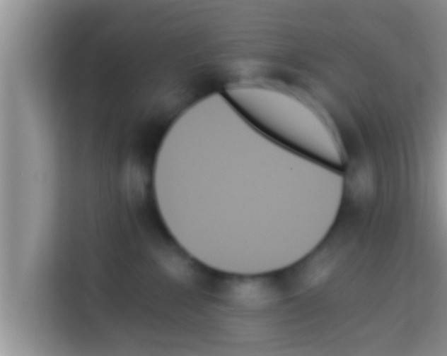 X0000113120235200910091143