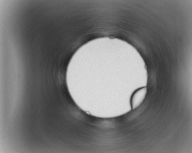 X0000113120236200910091143