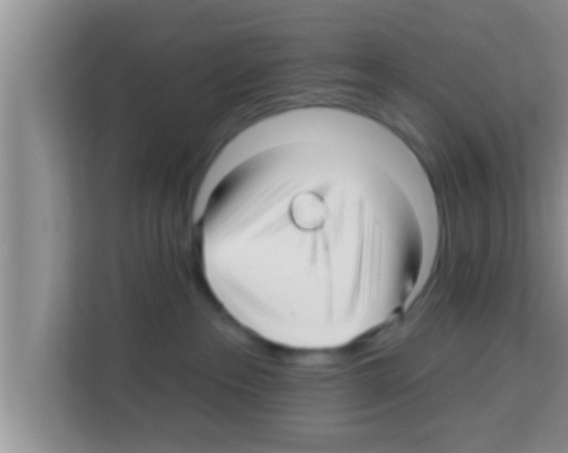 X0000113120237200910091143